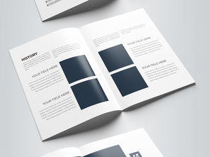 简约大气蓝色科技公司软件开发宣传册模板设计